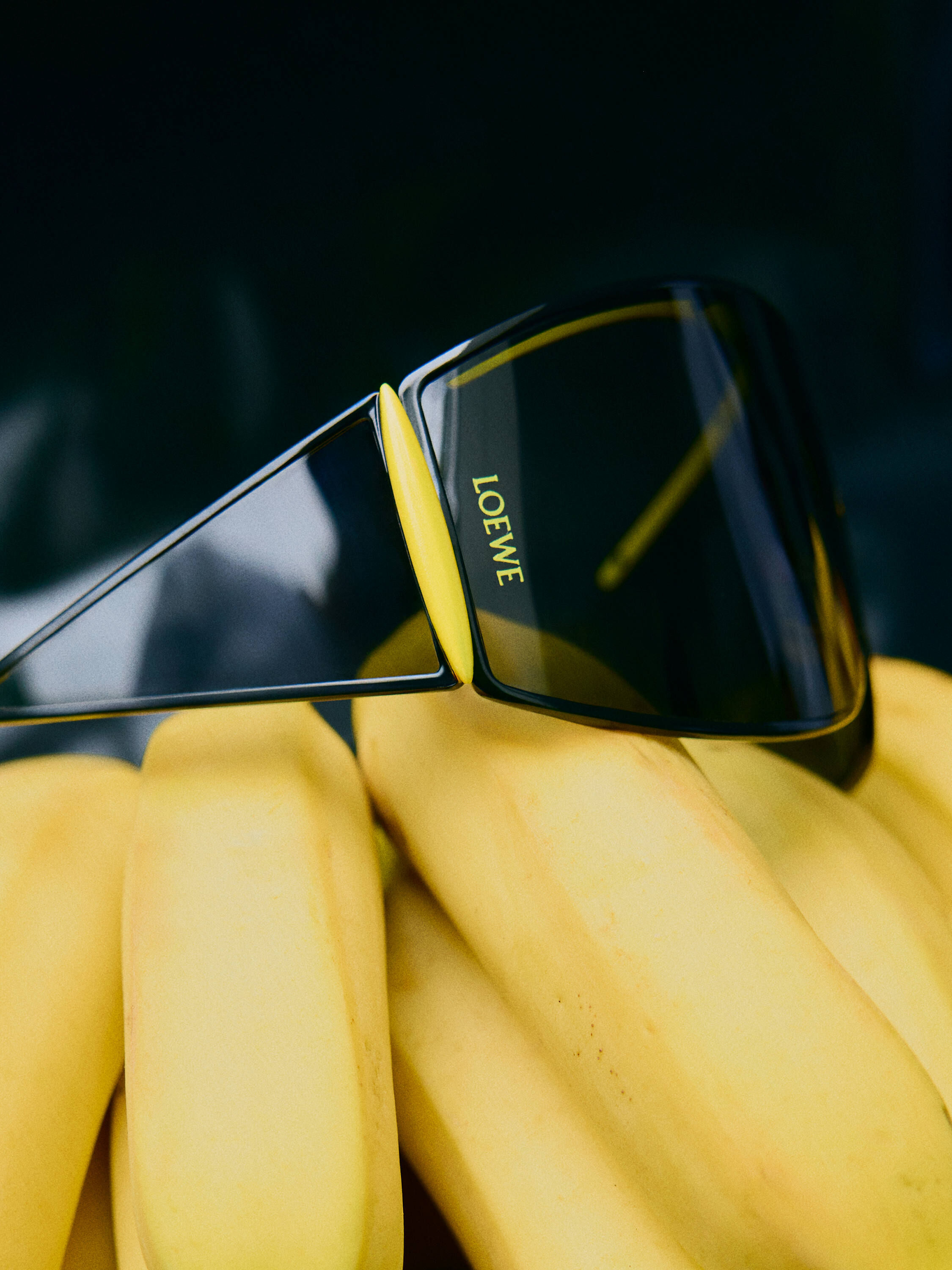 女性用高級サングラス - LOEWE - LOEWE Japan official website